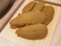 海胆黄-大渔之观(安贞店)