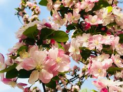 -喜艾堂艾灸馆(世贸天阶店)