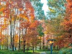 -贵阳市花溪国家城市湿地公园