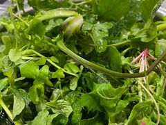 -黔府豆米火锅野菜馆(南马店)