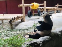 -杭州野生动物世界