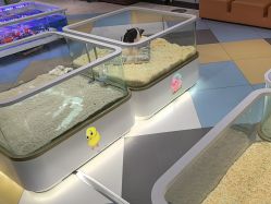 -meland亲子乐园•派对•研学(苏州悠方购物中心店)