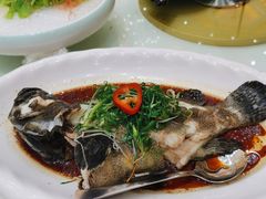 -东豪园林海鲜酒家(南港路辅路店)