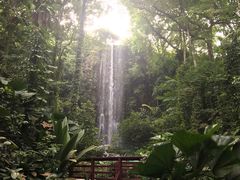 -新加坡飞禽公园