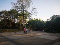-晓港公园