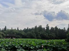 -杭州西湖博物馆总馆