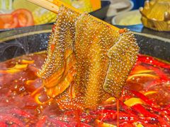 -蜀大侠火锅(总府路店)