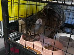 -南泰百货批发市场