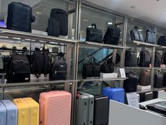 -乐天免税店(明洞店)