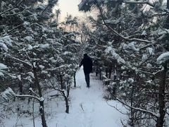 -终南山南五台景区