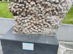 -安徽省地质博物馆