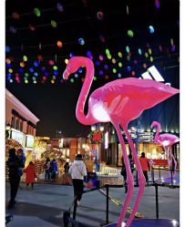 -Early Rider 儿童自行车(蓝色港湾店)