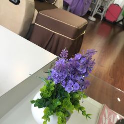 -HC美甲美睫皮肤管理中心