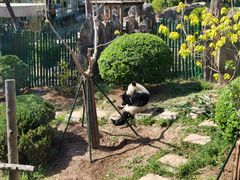 -大连森林动物园