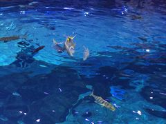 -西安华夏文旅水世界