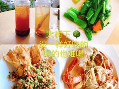 -大树下海鲜饭店