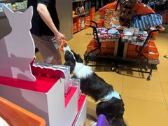 -MARSMART PETS火星宠物超市(1733店)