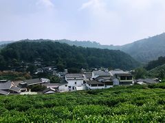 -龙井村