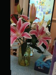 -静博士·养生养颜