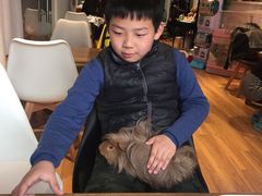 -藦茜花园宠物主题亲子互动体验馆(国顺东路店)