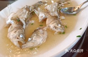 Fish from the River