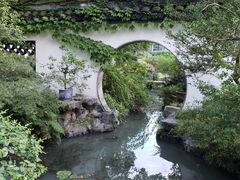 -上海醉白池公园