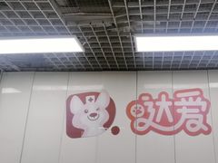 -达爱动物医院·犬猫分区·CT·复杂眼科(远洋山水分院)