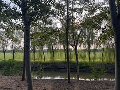-西青郊野公园