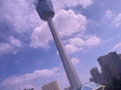 -陕西自然博物馆