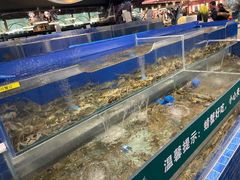 水产区-圣罗巴海鲜自助(黑金店)
