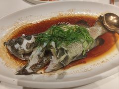 -广州酒家(中华广场店)