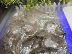 -巴犀烧烤(新崇光店)