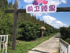 -上海长兴岛郊野公园