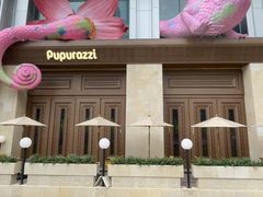 -帕帕拉兹宠物(亚洲旗舰店)