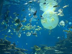 -海合安武汉极地海洋公园