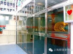 -顺强宠物诊所·狂犬免疫·夜诊·骨科(嘉定店)