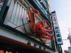 -蟹道乐(道顿堀本店)