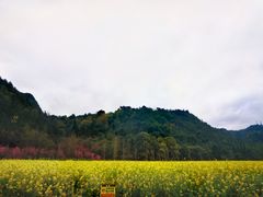 -贵阳市花溪国家城市湿地公园
