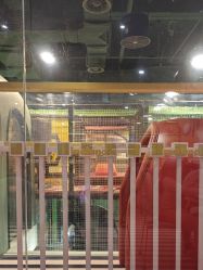 点击看大图 -MELAND CLUB亲子乐园·派对·餐厅(北京芳圆里ID MALL店)