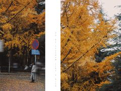 -四川大学(望江校区)