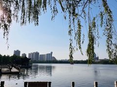 -莲花池公园