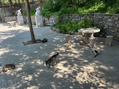 -四门塔风景区