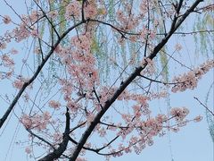 -后襄河公园