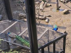 -武汉动物园