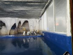 -太平洋海底世界