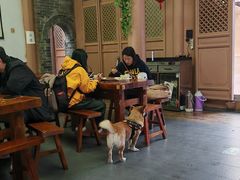 -少林寺欢喜地素斋馆