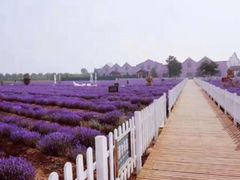 -渔岛海洋度假区