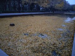 -玲珑塔公园