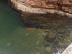 -湖洞水自然风景区
