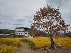 -塔川景区